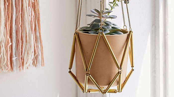 Top Healthy Home Decor Reviews